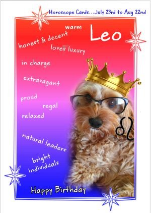 dog-birthday-card-leo-1.jpg