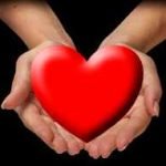 hands-holding-heart-mc-website-design.jpg