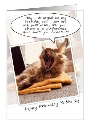 02-cat-february-card-1.jpg
