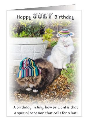 07-cat-july-card-1.jpg