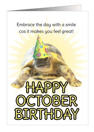 10-tortoise-october-1.jpg