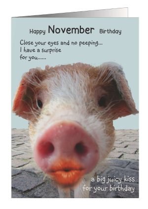 11-pig-november-1.jpg