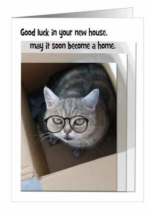 New-Home-Card-Cat-1.jpg
