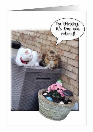 Retirement-Card-Cat-Chat-1.jpg