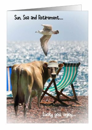 Retirement-Card-Cow-1.jpg