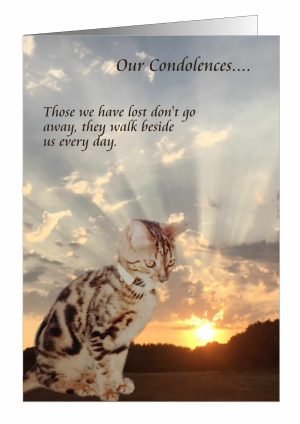 Sympathy-Card-Cat-1.jpg