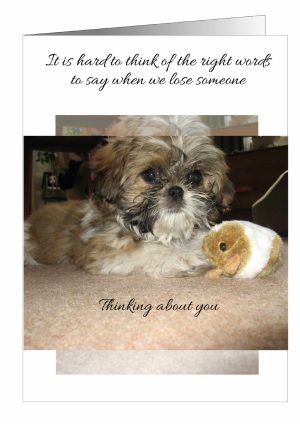 Sympathy-Card-Dog-1.jpg