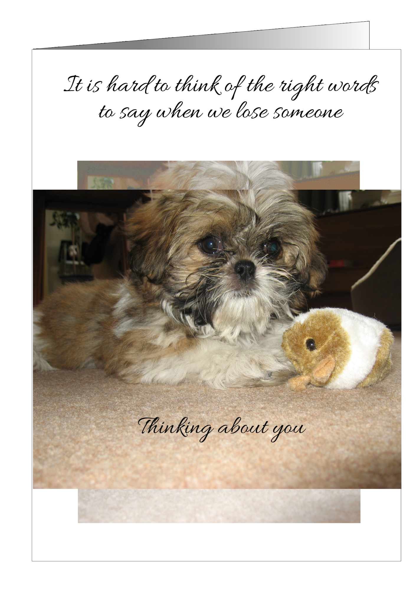Sympathy-Card-Dog-1.jpg