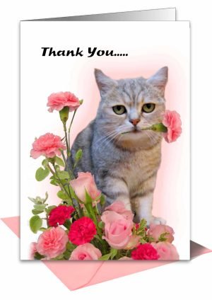 Thank-You-card-cat-1.jpg