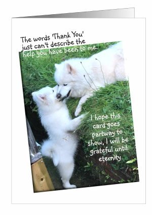 Thank-You-card-dog-1.jpg