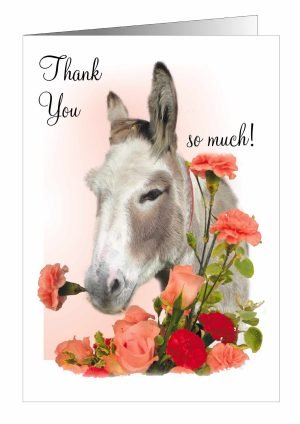 Thank-You-card-donkey-1.jpg