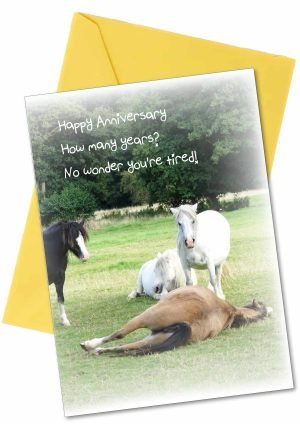 anniversary-card-horses-1.jpg