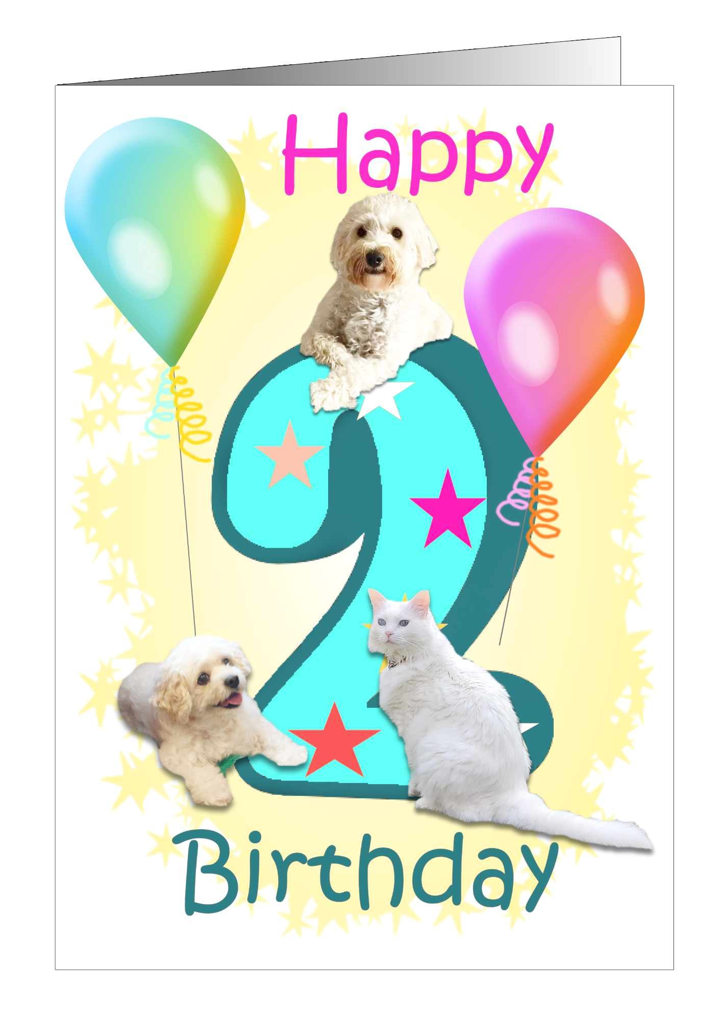 cat-and-dog-birthday-special-age-1-1.jpg