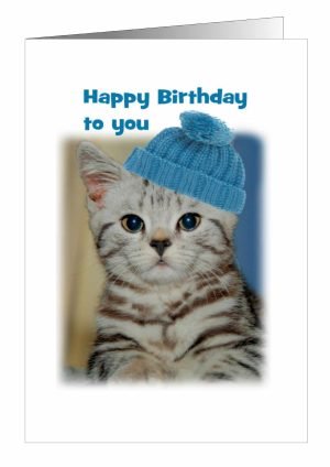 cat-birthday-card-1.jpg