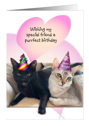 cat-birthday-card-friends-1.jpg