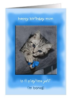 cat-birthday-card-mum-bored-1.jpg