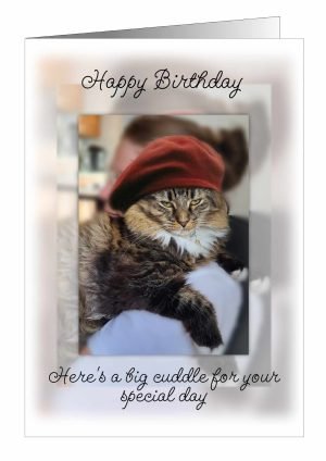 cat-birthday-cuddle-card-1.jpg