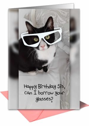 cat-birthday-sister-spectacles-1.jpg