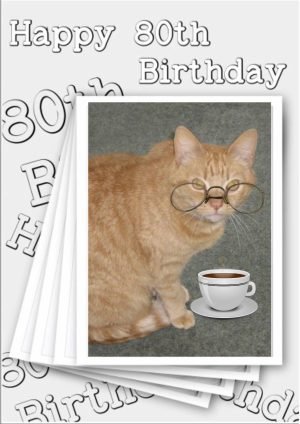 cat-birthday-special-age-1.jpg