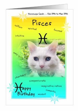 cat-horoscope-pisces-1.jpg