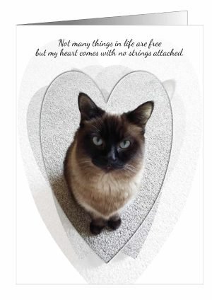 cat-love-card-no-strings-attached-1.jpg