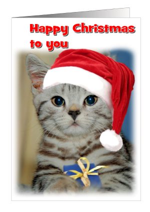 christmas-card-cat-HC.png