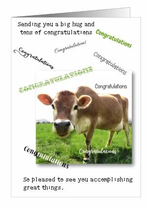 congratulations-card-cow-1.jpg