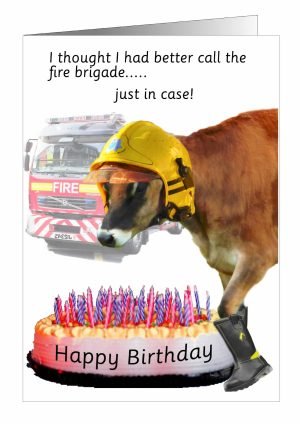 cow-birthday-card-1.jpg