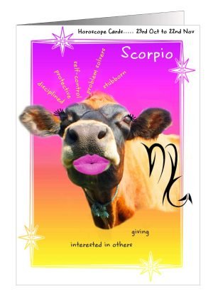 cow-birthday-card-scorpio-1.jpg