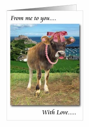cow-love-card-1.jpg