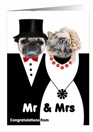 dog-and-cat-wedding-card-mr-and-mrs-1.jpg