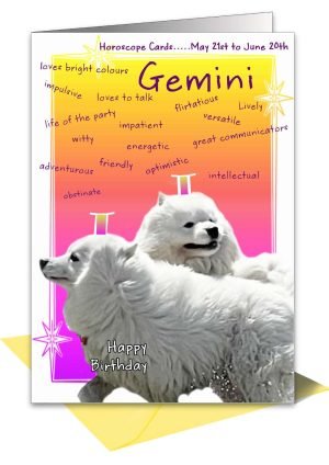 dog-birthday-card-gemini-1.jpg