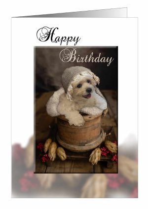 dog-birthday-card-pup-in-a-pot-1-1.jpg