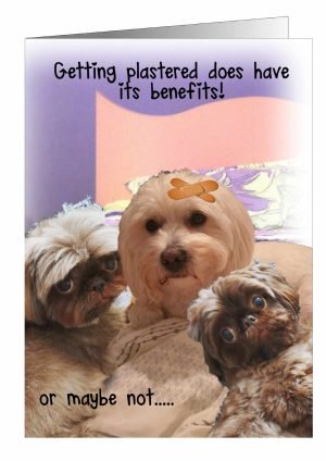 dog-get-well-card-plastered-1.jpg
