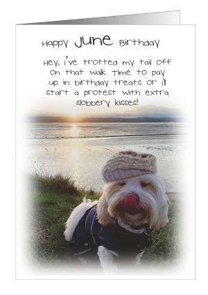dog-june-card-1.jpg