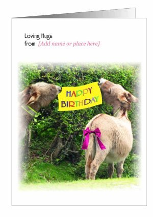 donkey-birthday-card-banner-1.jpg
