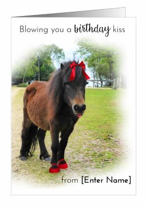 donkey-birthday-card-kiss-1-1.jpg