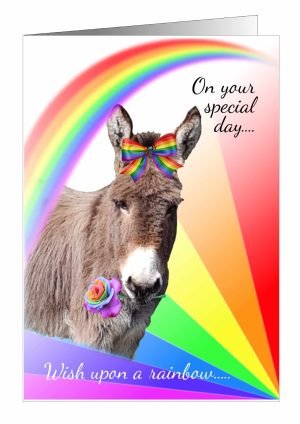 donkey-birthday-card-rainbow-1.jpg