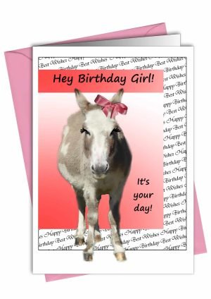 donkey-birthday-girl-card-1.jpg