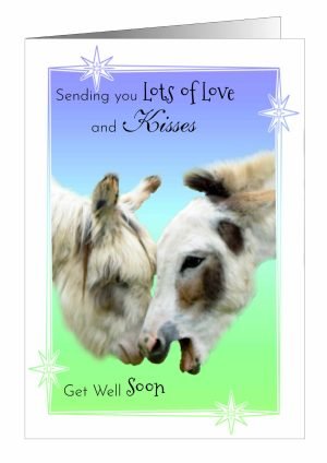 donkey-get-well-card-1.jpg