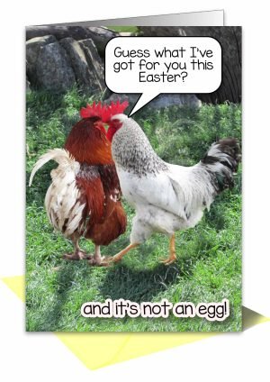 easter-card-chickens-1.jpg