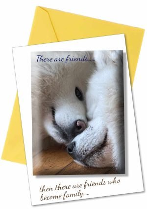 friendship-card-dog-1.jpg