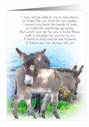 friendship-card-donkeys-1.jpg