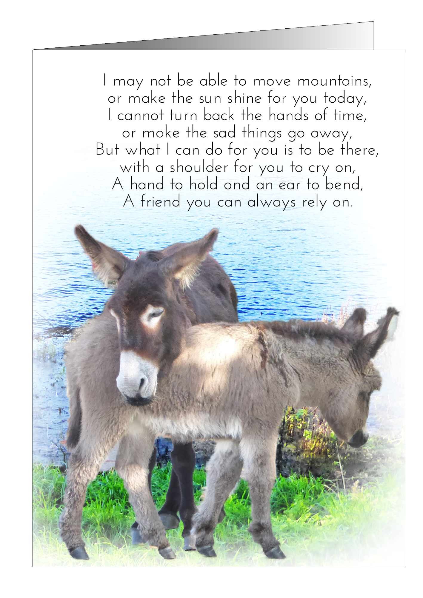friendship-card-donkeys-1.jpg