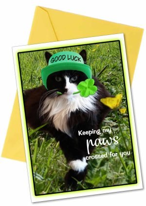 get-well-card-cat-1.jpg