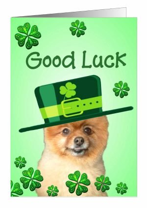 good-luck-card-dog-1.jpg