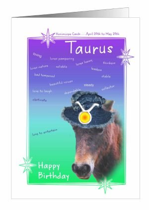 horse-birthday-card-taurus-1.jpg