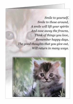 inspirational-card-cat-1.jpg