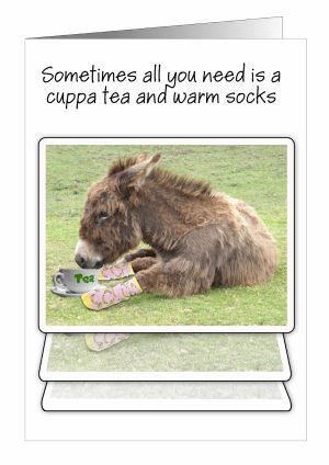 inspirational-card-donkey-1.jpg