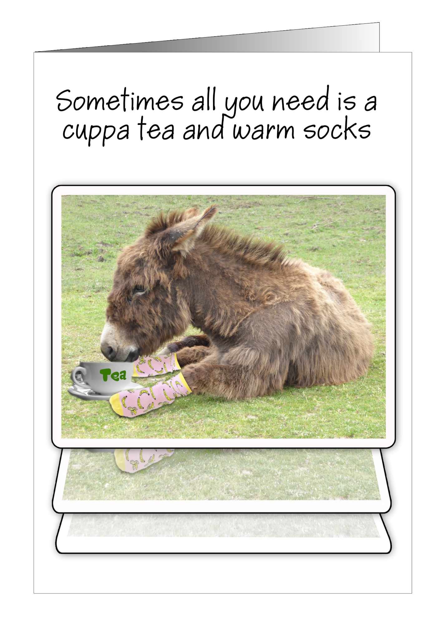 inspirational-card-donkey-1.jpg